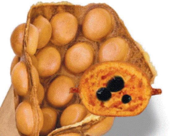 Pearl Bubble Waffle — Bubble Waffles